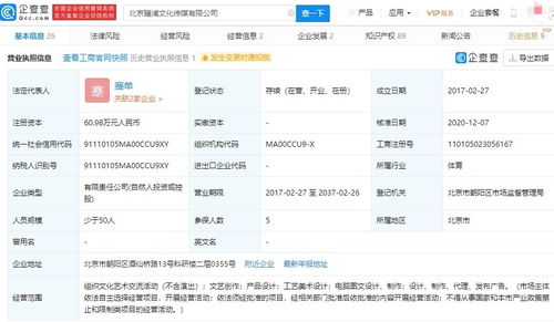 電腦圖文設計制作 從概念到成品的數(shù)字化藝術之旅